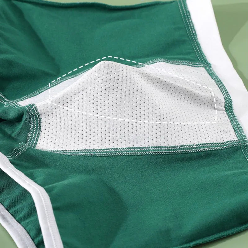Cotton Kids Underwear 2023 Korean Cartoon Car Boxers for Boys Teenage Plaid Panties Shorts Boy Cute Underpants 2 4 8 12 14 Years